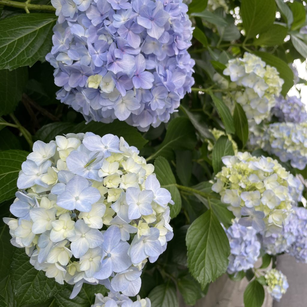 画像に alt 属性が指定されていません。ファイル名: 06-1024x1024.jpg